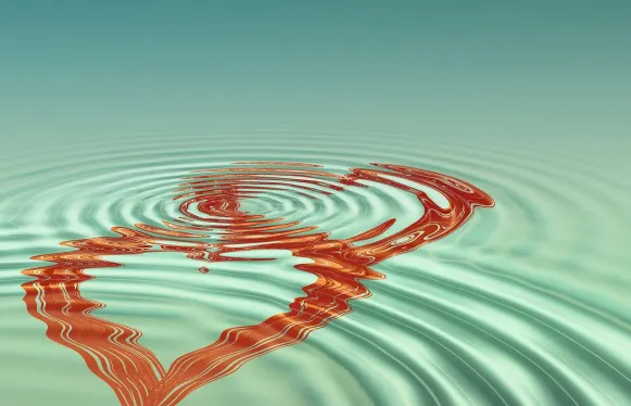 Rokubet Casino Soporte